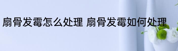 扇骨发霉怎么处理 扇骨发霉如何处理