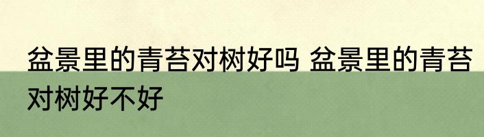 盆景里的青苔对树好吗 盆景里的青苔对树好不好