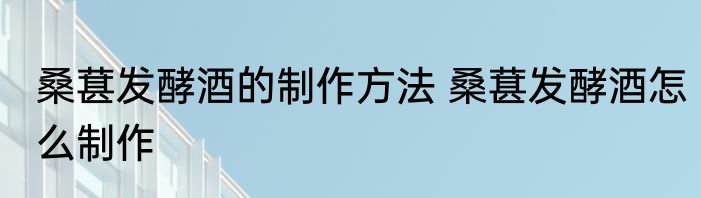 桑葚发酵酒的制作方法 桑葚发酵酒怎么制作