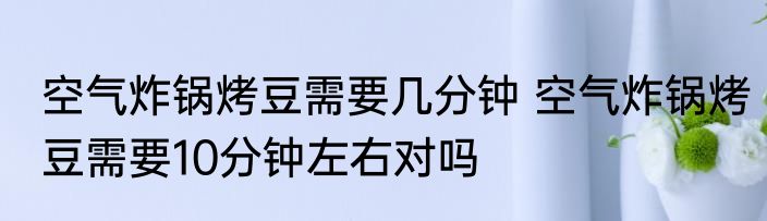 空气炸锅烤豆需要几分钟 空气炸锅烤豆需要10分钟左右对吗