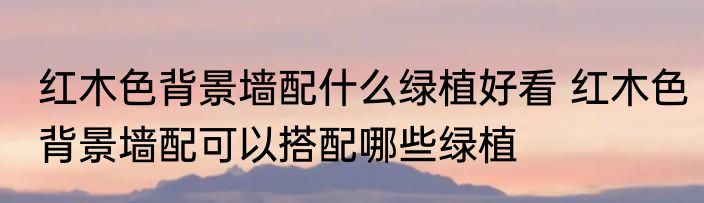 红木色背景墙配什么绿植好看 红木色背景墙配可以搭配哪些绿植