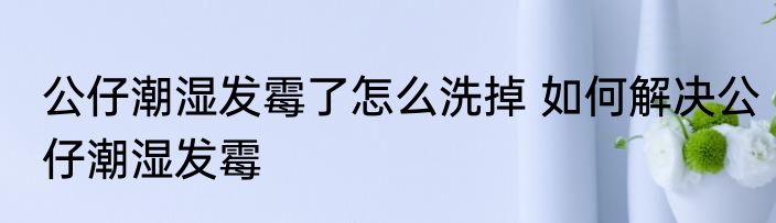 公仔潮湿发霉了怎么洗掉 如何解决公仔潮湿发霉