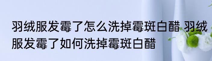 羽绒服发霉了怎么洗掉霉斑白醋 羽绒服发霉了如何洗掉霉斑白醋