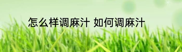 怎么样调麻汁 如何调麻汁