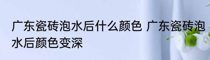 广东瓷砖泡水后什么颜色 广东瓷砖泡水后颜色变深