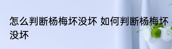 怎么判断杨梅坏没坏 如何判断杨梅坏没坏