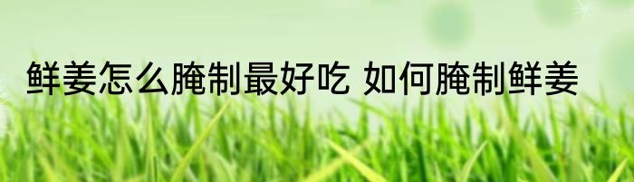 鲜姜怎么腌制最好吃 如何腌制鲜姜