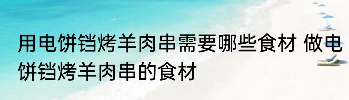 用电饼铛烤羊肉串需要哪些食材 做电饼铛烤羊肉串的食材