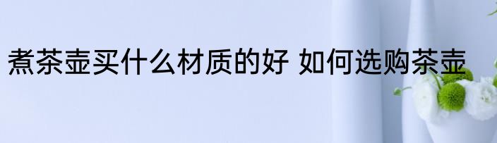 煮茶壶买什么材质的好 如何选购茶壶