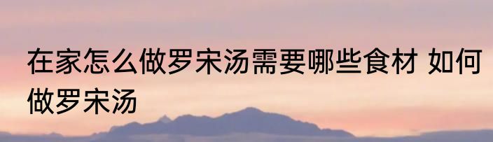 在家怎么做罗宋汤需要哪些食材 如何做罗宋汤