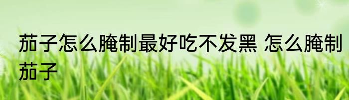 茄子怎么腌制最好吃不发黑 怎么腌制茄子