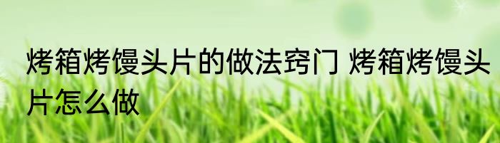 烤箱烤馒头片的做法窍门 烤箱烤馒头片怎么做