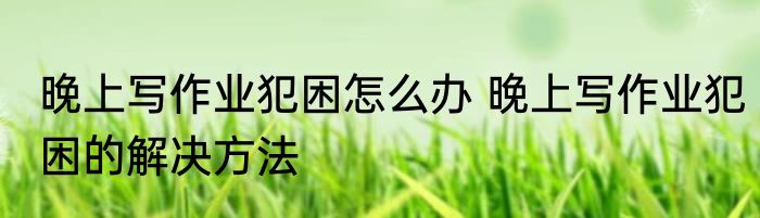 晚上写作业犯困怎么办 晚上写作业犯困的解决方法