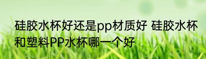 硅胶水杯好还是pp材质好 硅胶水杯和塑料PP水杯哪一个好