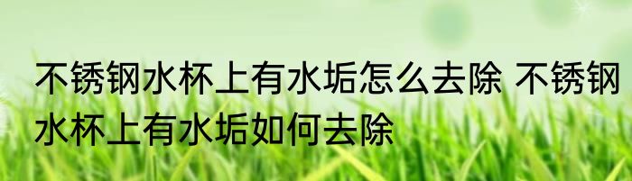 不锈钢水杯上有水垢怎么去除 不锈钢水杯上有水垢如何去除