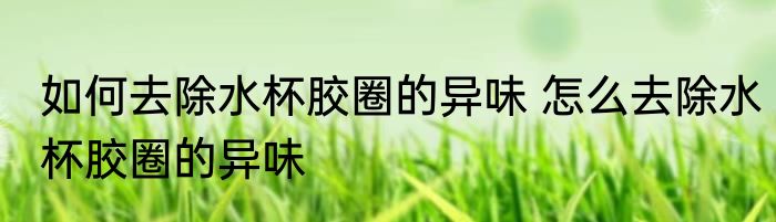 如何去除水杯胶圈的异味 怎么去除水杯胶圈的异味