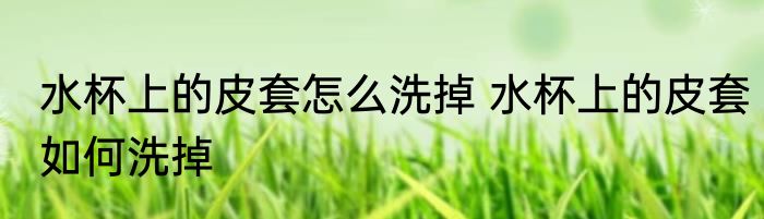 水杯上的皮套怎么洗掉 水杯上的皮套如何洗掉