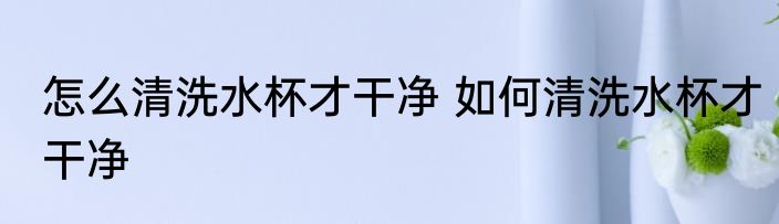 怎么清洗水杯才干净 如何清洗水杯才干净