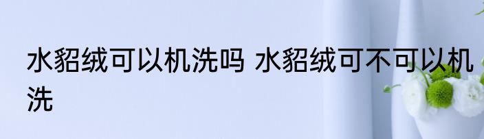 水貂绒可以机洗吗 水貂绒可不可以机洗