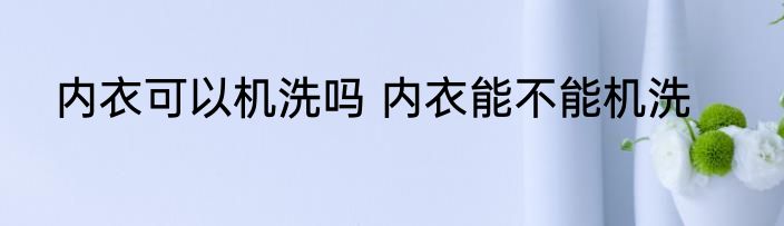 内衣可以机洗吗 内衣能不能机洗