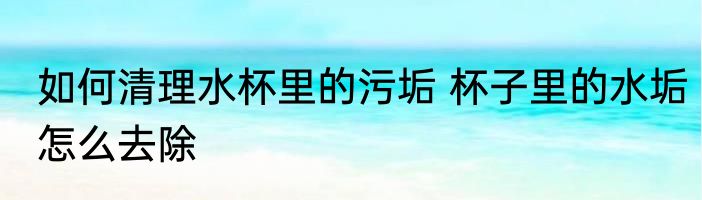 如何清理水杯里的污垢 杯子里的水垢怎么去除