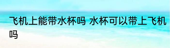 飞机上能带水杯吗 水杯可以带上飞机吗