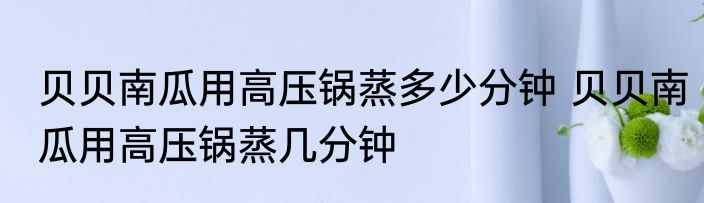 贝贝南瓜用高压锅蒸多少分钟 贝贝南瓜用高压锅蒸几分钟