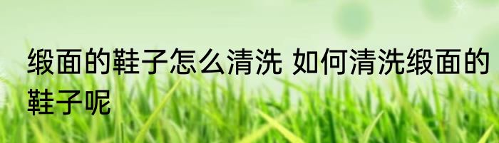 缎面的鞋子怎么清洗 如何清洗缎面的鞋子呢