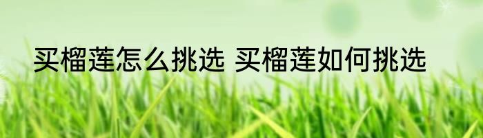 买榴莲怎么挑选 买榴莲如何挑选