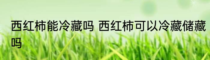 西红柿能冷藏吗 西红柿可以冷藏储藏吗
