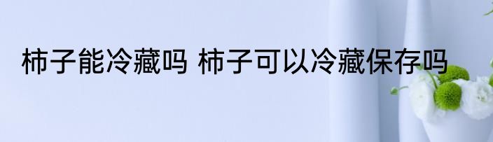 柿子能冷藏吗 柿子可以冷藏保存吗