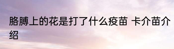 胳膊上的花是打了什么疫苗 卡介苗介绍
