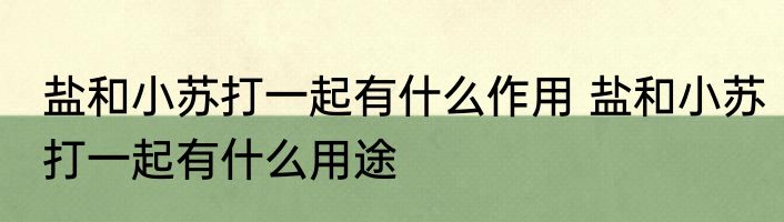 盐和小苏打一起有什么作用 盐和小苏打一起有什么用途