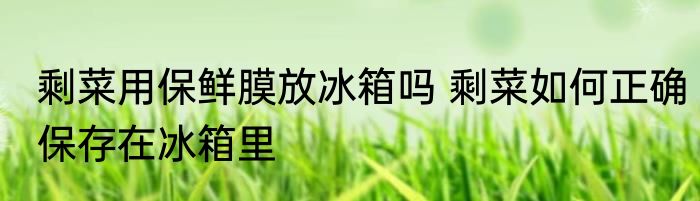剩菜用保鲜膜放冰箱吗 剩菜如何正确保存在冰箱里