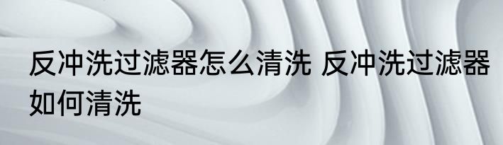 反冲洗过滤器怎么清洗 反冲洗过滤器如何清洗