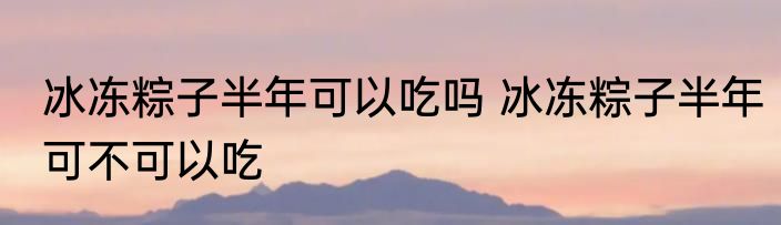 冰冻粽子半年可以吃吗 冰冻粽子半年可不可以吃