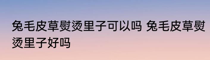 兔毛皮草熨烫里子可以吗 兔毛皮草熨烫里子好吗