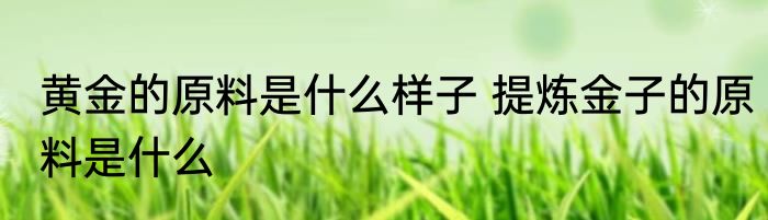 黄金的原料是什么样子 提炼金子的原料是什么