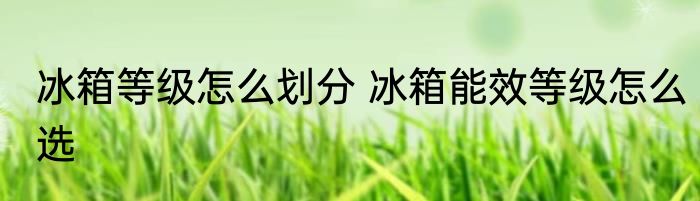 冰箱等级怎么划分 冰箱能效等级怎么选