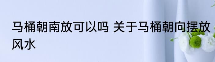 马桶朝南放可以吗 关于马桶朝向摆放风水