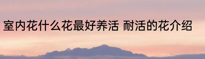 室内花什么花最好养活 耐活的花介绍