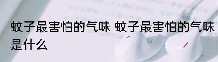 蚊子最害怕的气味 蚊子最害怕的气味是什么