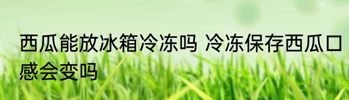 西瓜能放冰箱冷冻吗 冷冻保存西瓜口感会变吗