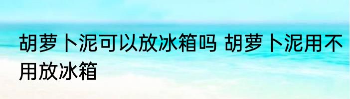 胡萝卜泥可以放冰箱吗 胡萝卜泥用不用放冰箱