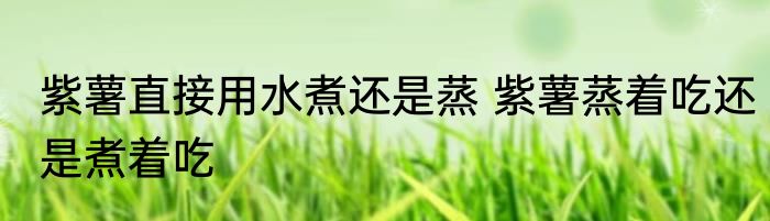 紫薯直接用水煮还是蒸 紫薯蒸着吃还是煮着吃