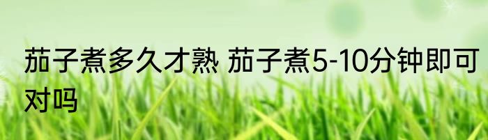 茄子煮多久才熟 茄子煮5-10分钟即可对吗