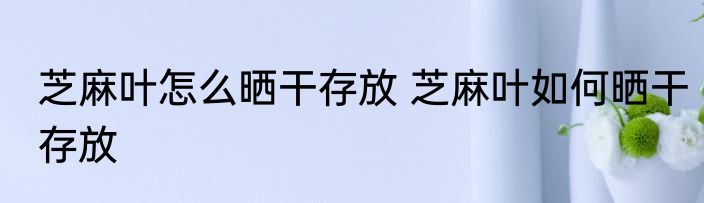 芝麻叶怎么晒干存放 芝麻叶如何晒干存放