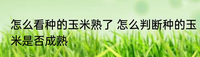 怎么看种的玉米熟了 怎么判断种的玉米是否成熟