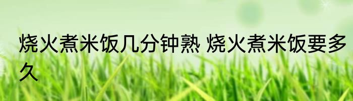 烧火煮米饭几分钟熟 烧火煮米饭要多久