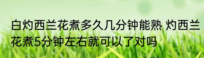 白灼西兰花煮多久几分钟能熟 灼西兰花煮5分钟左右就可以了对吗